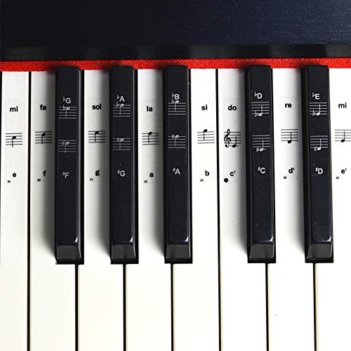88 61 54 37 32 Pegatinas de piano para teclas Teclado de piano transparente Pegatina de PVC Pentagrama de piano Nombre del teclado electrÃ³nico Etiqueta adhesiva extraÃ­ble para el aprendizaje de