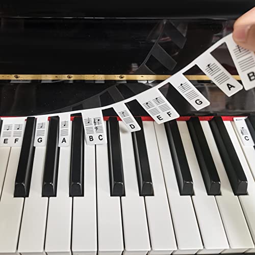 AIEX Extraíbles Pegatinas para Piano, Pegatinas para Teclado de Piano de Tamaño Completo 88 Teclas Silicona Sin Necesidad de Pegar Reutilizables Pegatinas Coloridas Para Piano, con Caja