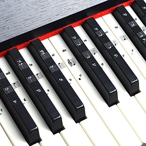Imelod Pegatinas para teclado o piano para teclado de 49/61/76/88, juego completo de pegatinas para teclas blancas y negras, transparentes y extraíbles, perfectas para niños y principiantes